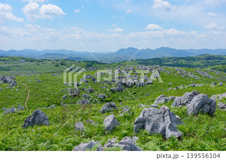 ゴールデンウィークの秋吉台 石灰岩と新緑が広がる絶景風景 ゴールデンウィークの秋吉台 石灰岩と新緑が広がる絶景風景 139556104