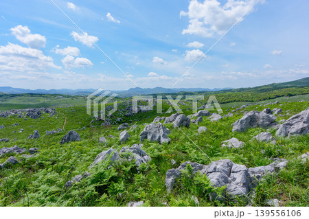 ゴールデンウィークの秋吉台 石灰岩と新緑が広がる絶景風景 ゴールデンウィークの秋吉台 石灰岩と新緑が広がる絶景風景 139556106