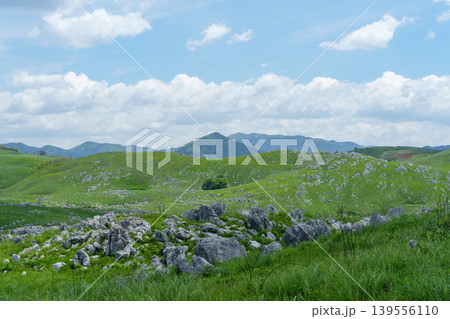 ゴールデンウィークの秋吉台 石灰岩と新緑が広がる絶景風景 139556110