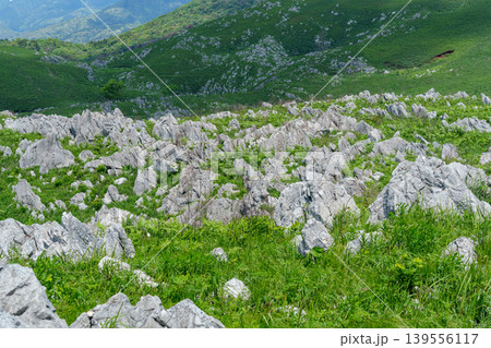 ゴールデンウィークの秋吉台 石灰岩と新緑が広がる絶景風景 ゴールデンウィークの秋吉台 石灰岩と新緑が広がる絶景風景 139556117