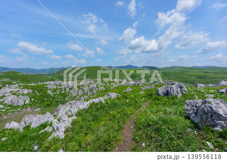 ゴールデンウィークの秋吉台 石灰岩と新緑が広がる絶景風景 139556118