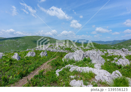 ゴールデンウィークの秋吉台 石灰岩と新緑が広がる絶景風景 139556123