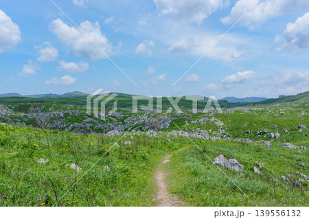 ゴールデンウィークの秋吉台 石灰岩と新緑が広がる絶景風景 ゴールデンウィークの秋吉台 石灰岩と新緑が広がる絶景風景 139556132