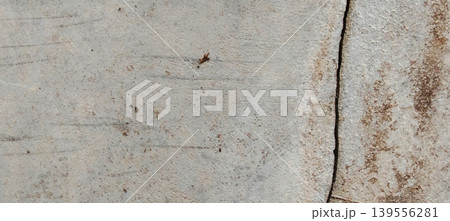 Grey concrete surface texture with aesthetic natural cracks. 139556281