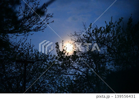 Small wooden house located in picturesque winter forest covered by snow near bonfire 139556431