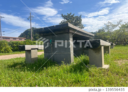 公園テーブルと木々の風景 139556435