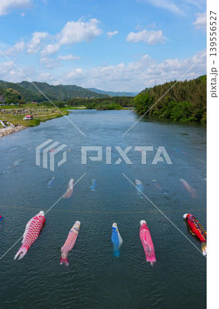 山口県防府市佐波川 水中を泳ぐ鯉のぼりと佐波川こいながし 139556527