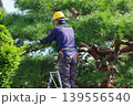 持つ軒の手入れ作業する植木職人の様子 139556540
