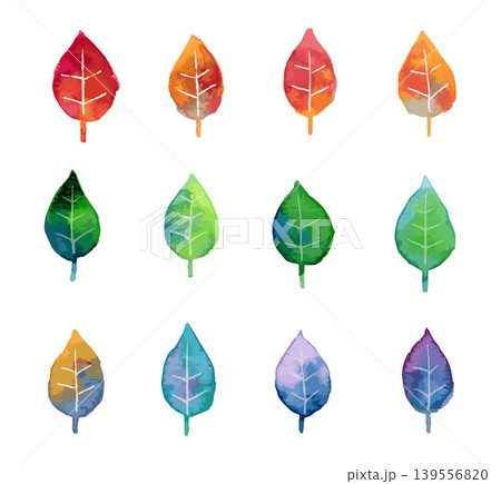 紅葉や緑の葉によるカラフルな素材セット　水彩画 139556820