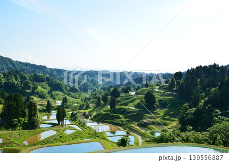 初夏新緑の山古志棚田風景 初夏新緑の山古志棚田風景 139556887