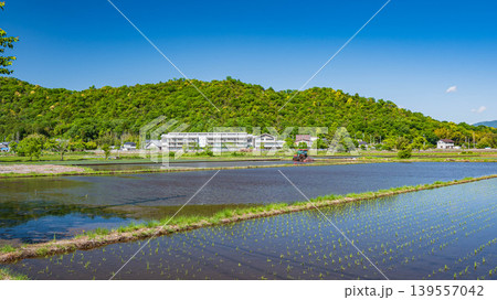 近江平野の田園風景 滋賀県東近江市 近江平野の田園風景 滋賀県東近江市 139557042