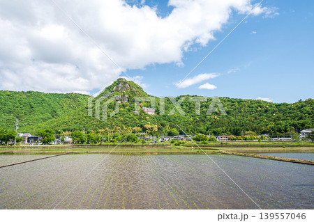 近江平野の田んぼから赤神山(太郎坊山)の景観 滋賀県東近江市 近江平野の田んぼから赤神山(太郎坊山)の景観 滋賀県東近江市 139557046