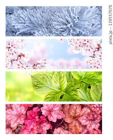 Four season of year. Set of horizontal nature banners. Each one features scene of nature, from the gentle snowfall of winter to the vibrant leaves of summer. Perfect for showcasing changing seasons 139557070