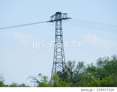 Metal power line tower with a bird nest on top. 139557320