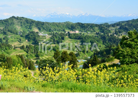 山古志棚田菜の花畑越しに展望する残雪の越後三山 山古志棚田菜の花畑越しに展望する残雪の越後三山 139557373