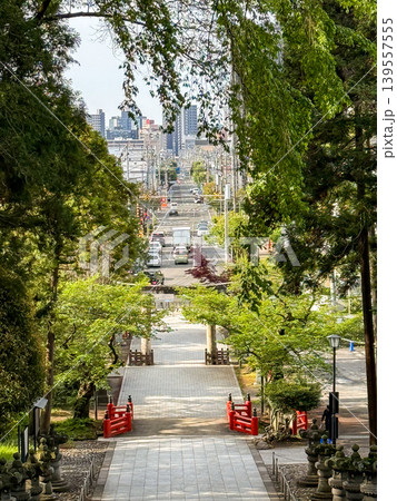 宮城県仙台市・仙台東照宮の参道と街並み風景 宮城県仙台市・仙台東照宮の参道と街並み風景 139557555