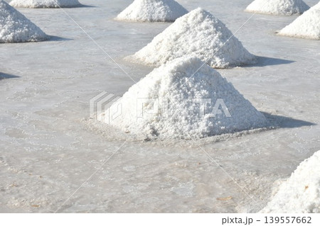 saline water making dry salt by solar evaporation Thai cultures and agriculture manufacturing in farm on sunny day 139557662