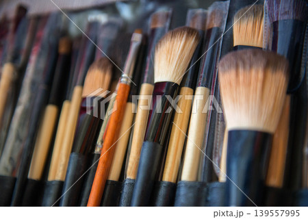 Professional makeup brushes arranged in cosmetic case Professional makeup brushes arranged in cosmetic case 139557995