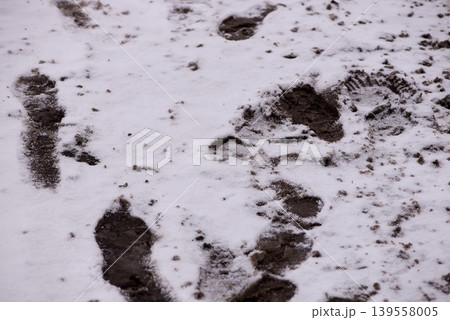 Multiple Footprints Scattered Across Snowy Ground Multiple Footprints Scattered Across Snowy Ground 139558005