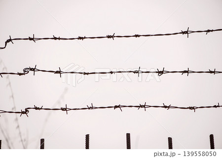 Parallel Barbed Wire Lines In Minimal Composition Parallel Barbed Wire Lines In Minimal Composition 139558050