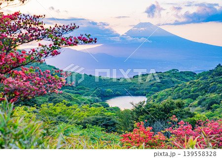 【静岡県】満開の山ツツジが美しい箱根玄岳から眺める富士山 夕景 【静岡県】満開の山ツツジが美しい箱根玄岳から眺める富士山 夕景 139558328