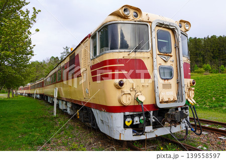 クロフォード公園のキハ82系気動車（2026年春） 139558597