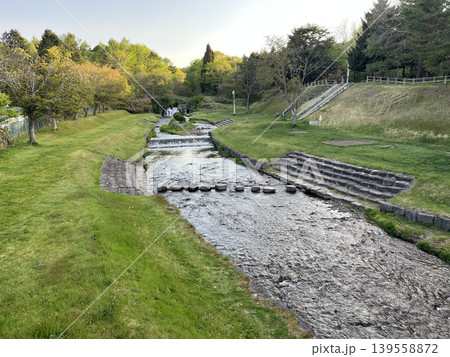 緑の公園を流れる小川の風景 139558872