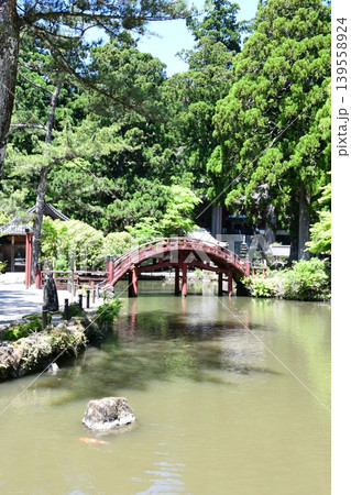 金剛證寺 連間の池 金剛證寺 連間の池 139558924