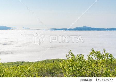 夏山の山頂から望む雲海、北海道の壮大な朝景(初夏・6月) 夏山の山頂から望む雲海、北海道の壮大な朝景(初夏・6月) 139558977