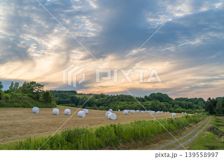夕焼け雲と牧草ロールが並ぶ牧場、北海道のゴールデンアワー（初夏・6月） 139558997