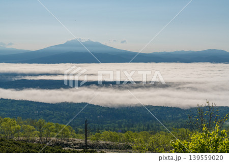 雲海の海に浮かぶ山影、北海道の夏山絶景(初夏・6月) 雲海の海に浮かぶ山影、北海道の夏山絶景(初夏・6月) 139559020