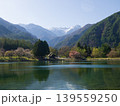 2026年4月　駒ヶ根市　駒ヶ池と中央アルプス 139559250
