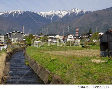 2026年4月　駒ヶ根市　田沢川と中央アルプス 139559255