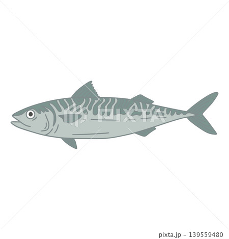 Mackerel fish illustrating healthy eating and nutritious seafood Mackerel fish illustrating healthy eating and nutritious seafood 139559480