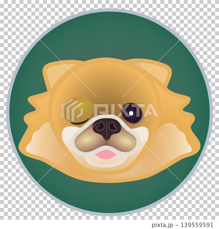 Illustration of a Pomeranian's face against a circular background Illustration of a Pomeranian's face against a circular background 139559591
