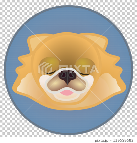 圓形背景上的博美犬臉部插圖 139559592