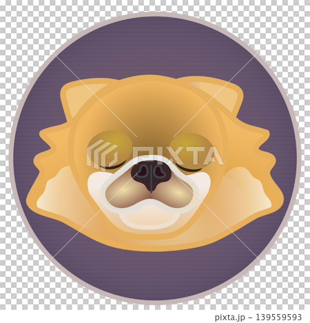 圓形背景上的博美犬臉部插圖 139559593