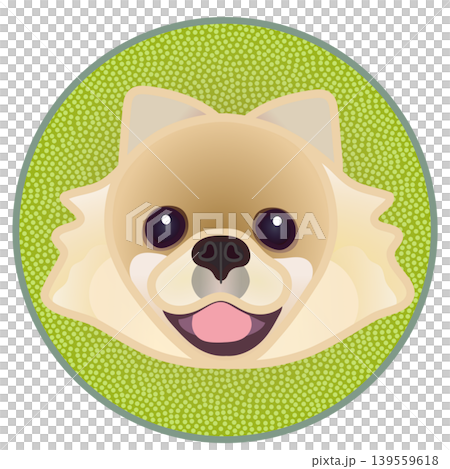 Illustration of a Pomeranian's face against a circular background Illustration of a Pomeranian's face against a circular background 139559618