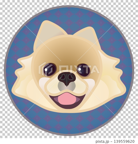 Illustration of a Pomeranian's face against a circular background Illustration of a Pomeranian's face against a circular background 139559620