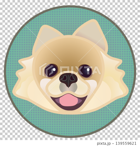 Illustration of a Pomeranian's face against a circular background Illustration of a Pomeranian's face against a circular background 139559621