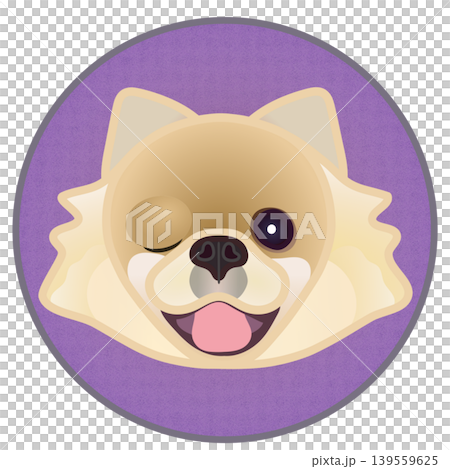 Illustration of a Pomeranian's face against a circular background Illustration of a Pomeranian's face against a circular background 139559625