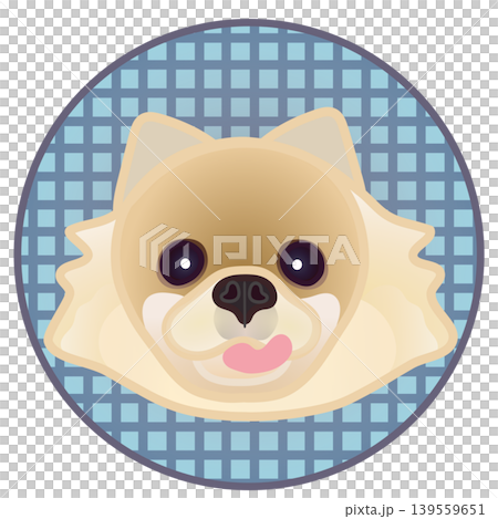 圓形背景上的博美犬臉部插圖 139559651