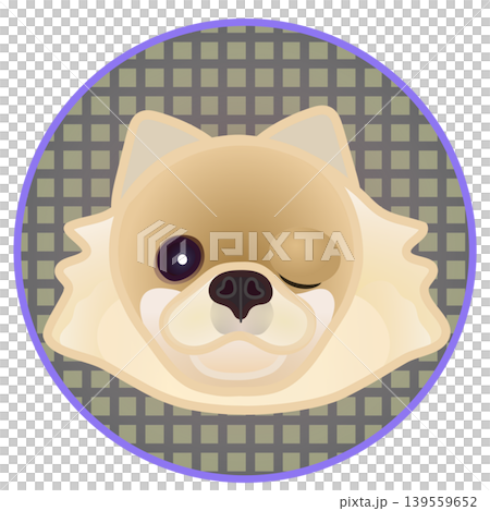 Illustration of a Pomeranian's face against a circular background Illustration of a Pomeranian's face against a circular background 139559652