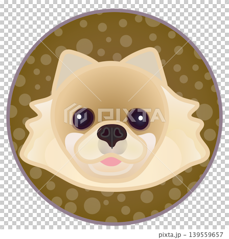圓形背景上的博美犬臉部插圖 139559657
