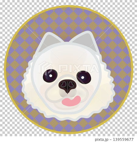円形背景のついたポメラニアンの顔のイラスト 円形背景のついたポメラニアンの顔のイラスト 139559677