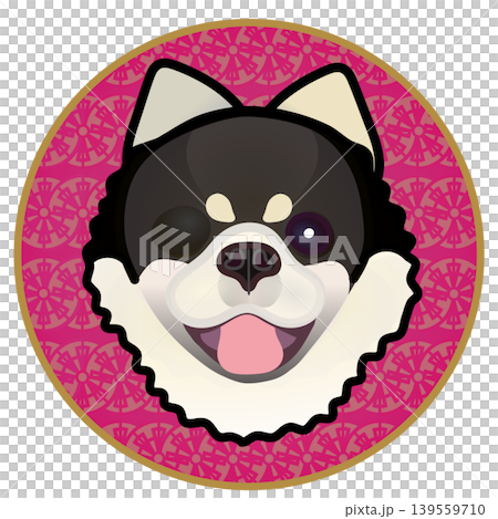 圓形背景上的博美犬臉部插圖 圓形背景上的博美犬臉部插圖 139559710