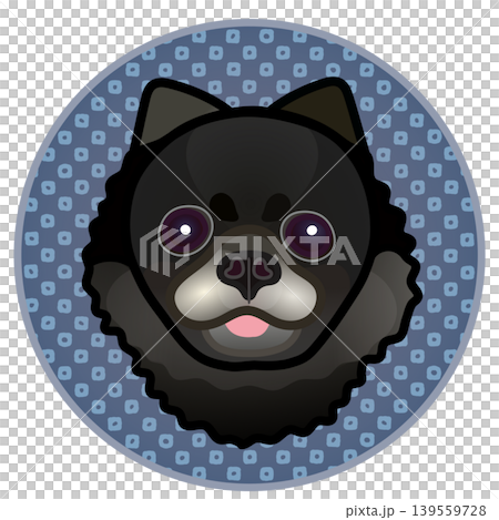 円形背景のついたポメラニアンの顔のイラスト 円形背景のついたポメラニアンの顔のイラスト 139559728