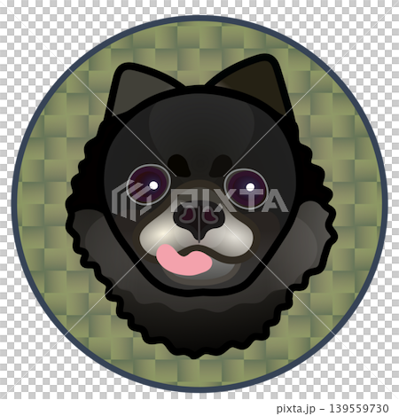Illustration of a Pomeranian's face against a circular background Illustration of a Pomeranian's face against a circular background 139559730