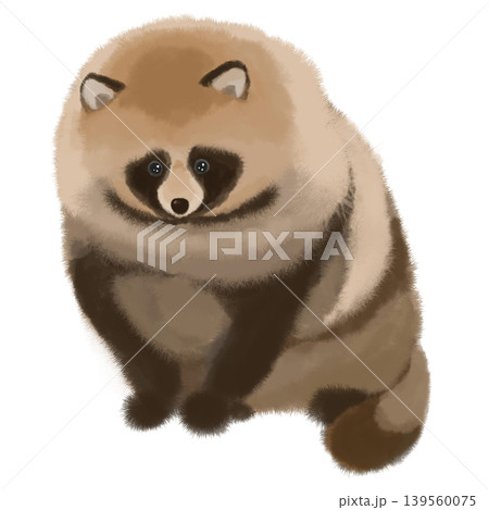 お座りするもふもふの狸の手描きイラスト お座りするもふもふの狸の手描きイラスト 139560075