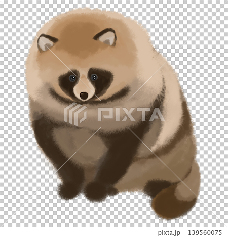 お座りするもふもふの狸の手描きイラスト お座りするもふもふの狸の手描きイラスト 139560075
